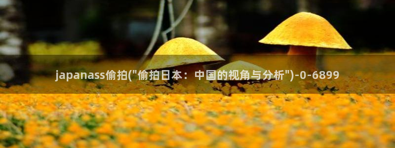 国内偷拍性视频