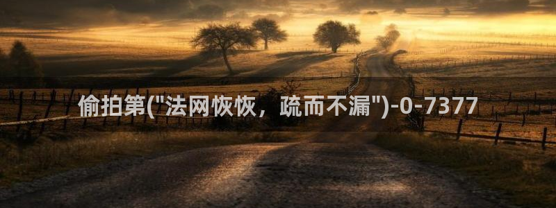 成人动漫偷拍自拍