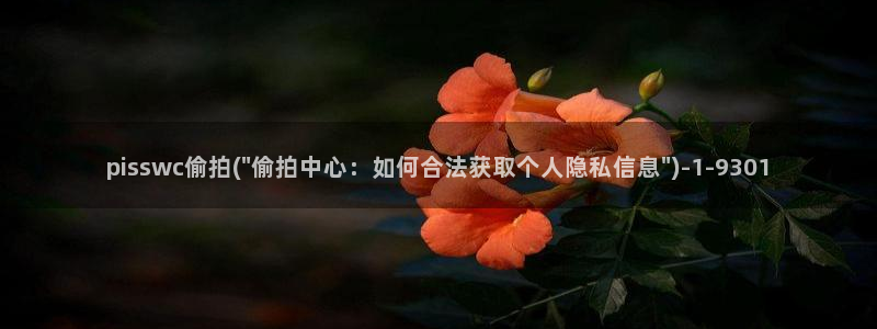 偷窥性瘾：pisswc偷拍(\