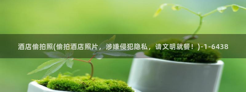 偷拍厕所视频：酒店偷拍照(偷拍酒店照片，涉嫌侵犯隐私，请文明就餐！)